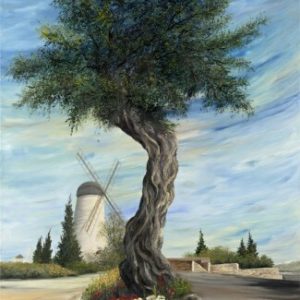 הזית על רקע הטחנה An olive tree in front of a windmill