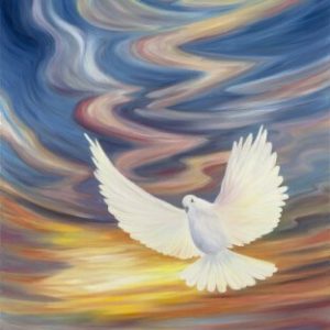 יונת השלום בשמי הקסם Dove of peace in enchanted skies