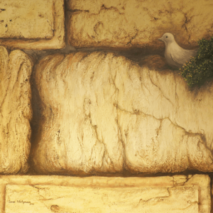 יונה בין אבני הכותל The dove between the Western Wall stones